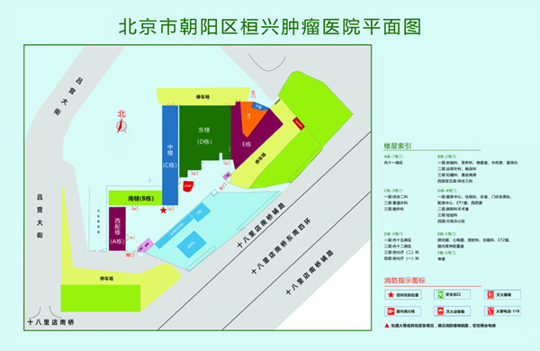 透逼视频北京市朝阳区桓兴肿瘤医院平面图